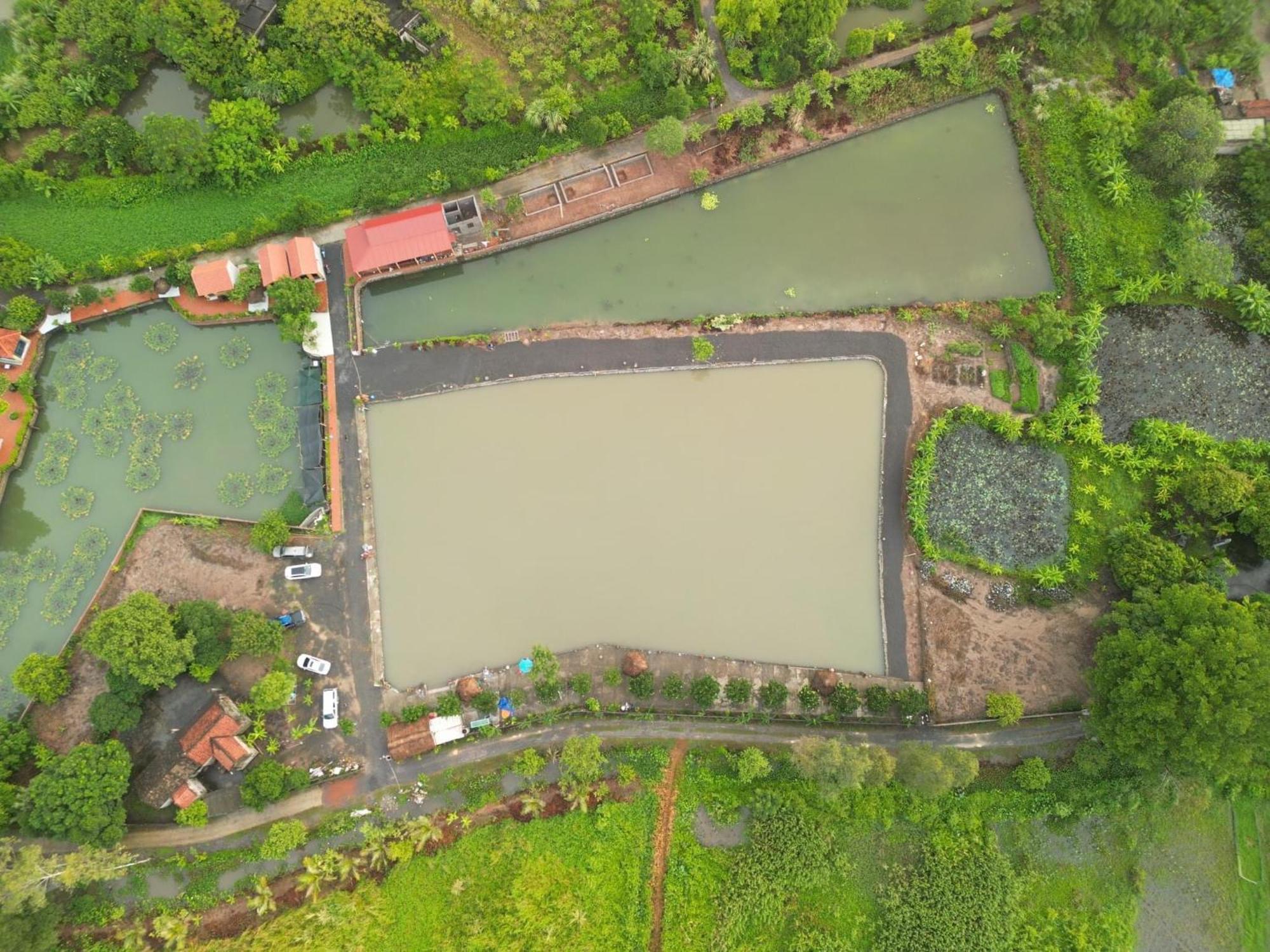 Tam Coc Cat Luong Homestay Ninh Binh Zewnętrze zdjęcie